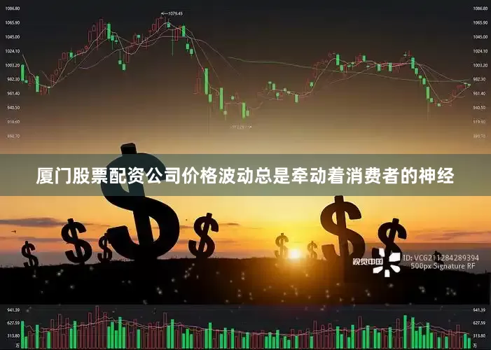 厦门股票配资公司价格波动总是牵动着消费者的神经